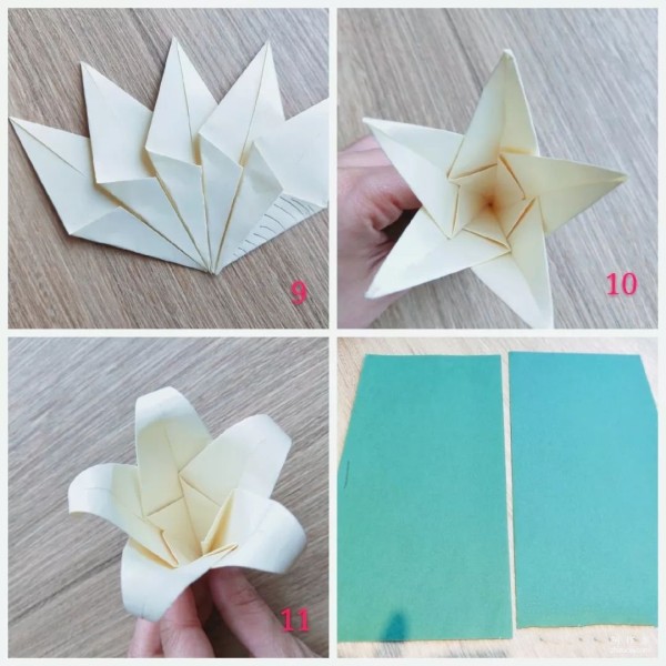 Easily fold out lilies~