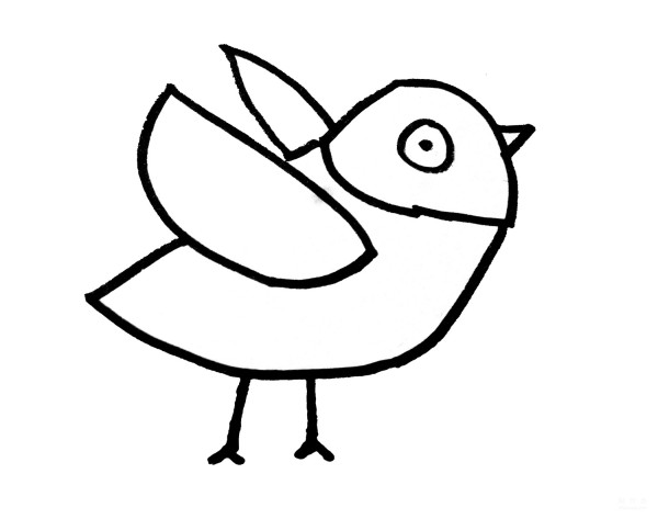 Learn to draw simple drawings, chubby birds