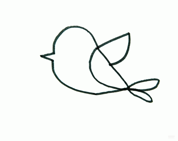 Learn to draw a simple drawing of a bird taking off