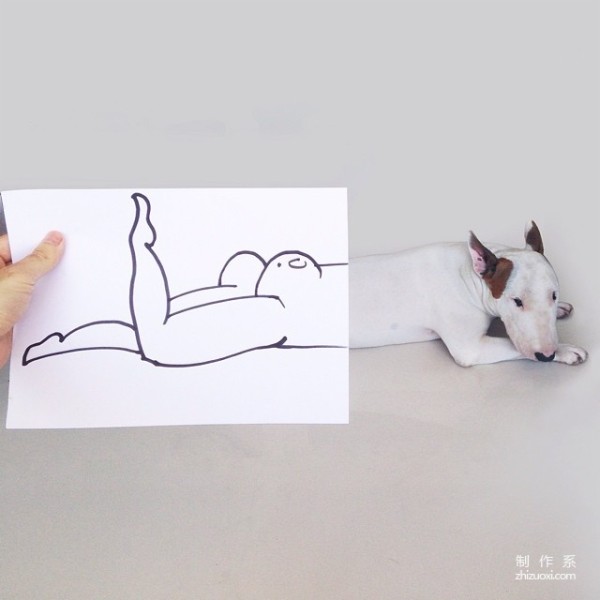 Bull Terrier: The leader of the silly and cute world