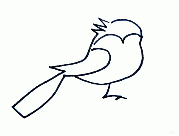 Learn to draw simple strokes, a simple way to draw a blue-tailed bird