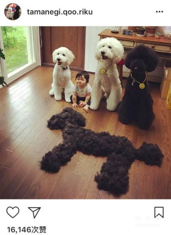 So cute! A 1-year-old girl and three dogs sleep together, eat together, and wear the same clothes...