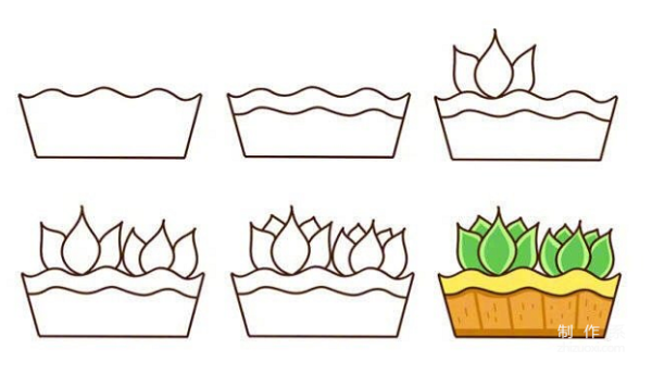 Learn to draw simple drawings, simple drawings of succulents