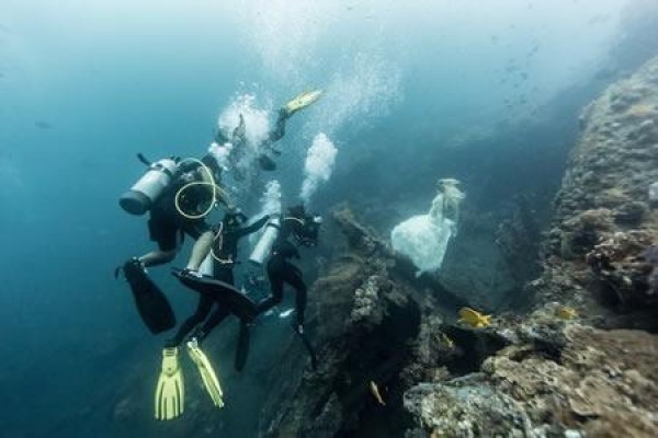 Super dreamy underwater wedding photos