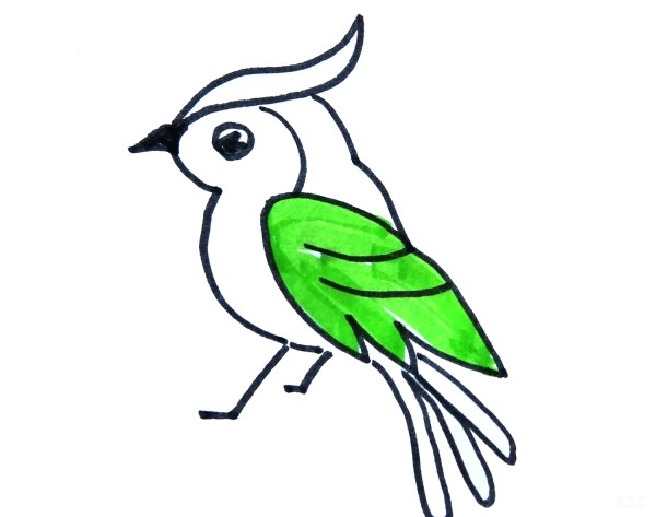 Learn to draw simple drawings, colorful parrots