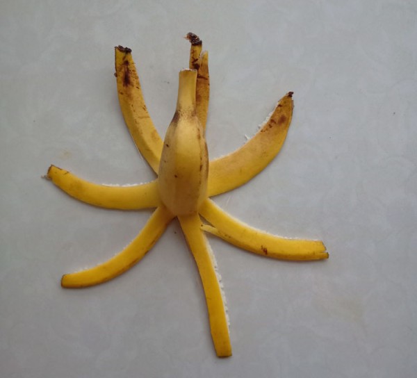 Simple step-by-step method of leaf stickers with banana and octopus