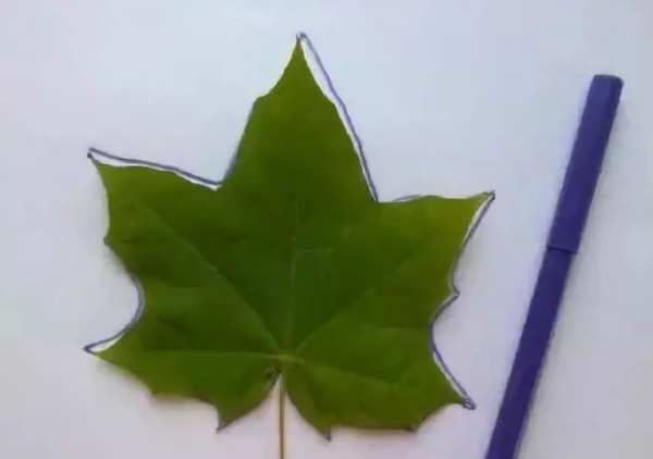 How to make origami maple leaves