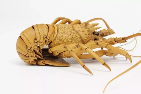 A Japanese boy carves a live wooden lobster, which is so ingenious that it looks like the real thing.