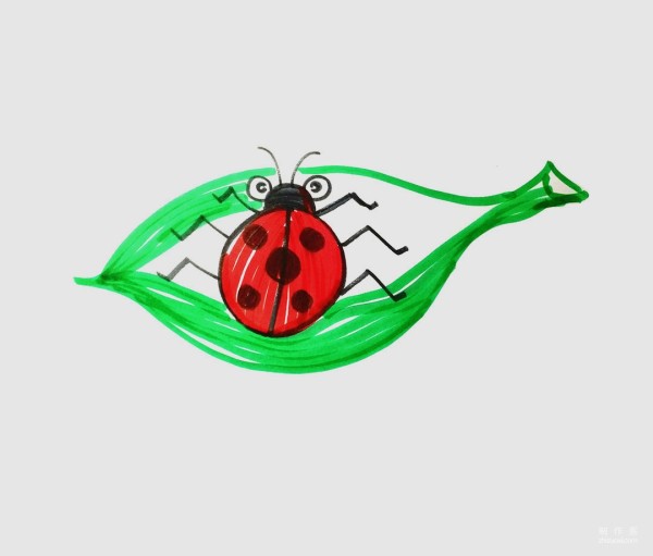 Learn to draw simple drawings, colorful ladybugs