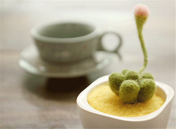 Wool felt creative simulation mini handmade DIY succulents