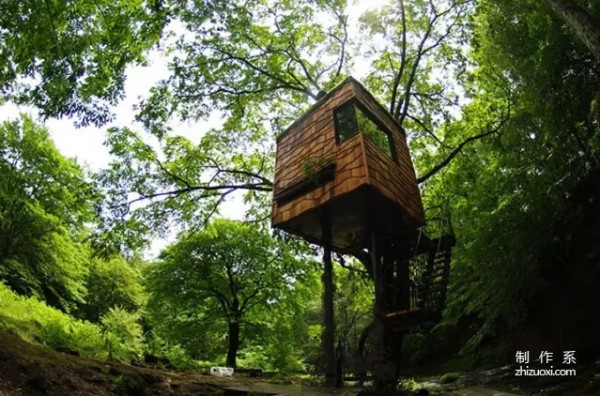 Build a cabin in the tree, it has its own secret world