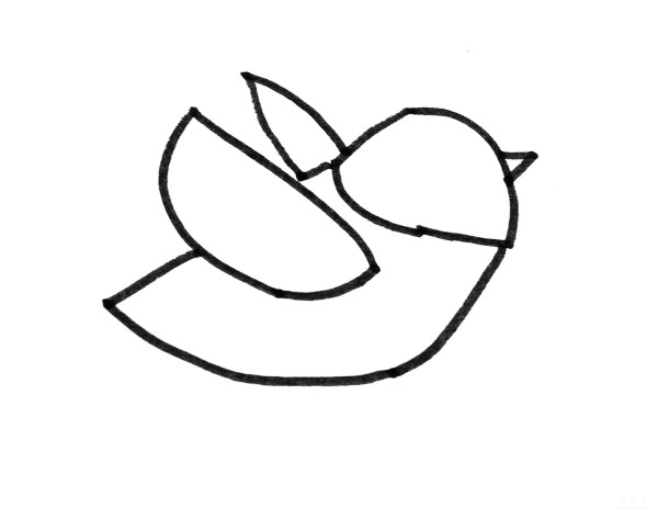 Learn to draw simple drawings, chubby birds