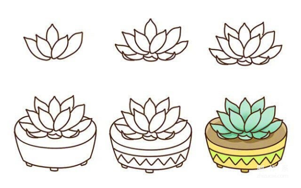 Learn to draw simple drawings, simple drawings of succulents