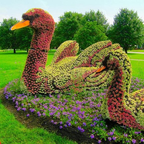 International three-dimensional flower bed competition