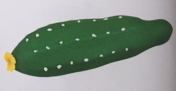 Pictures of simple works of ultra-light clay and illustrations of making cucumbers