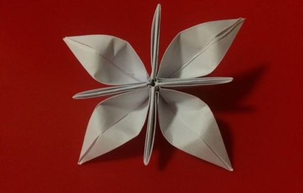 Beautiful flower origami tutorial with illustrated steps