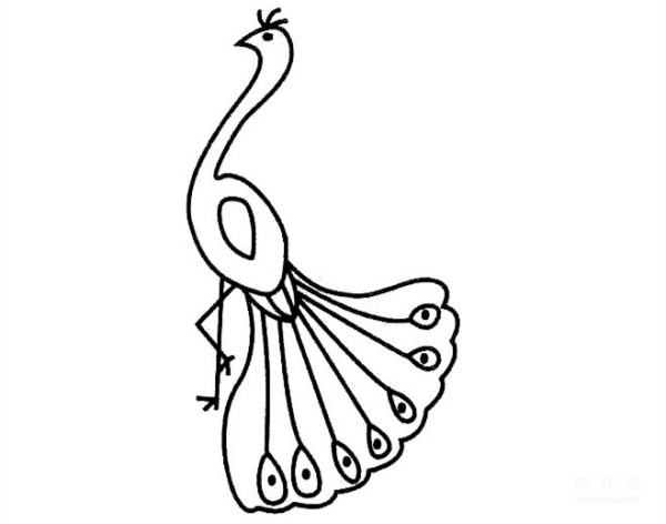 Learn to draw simple drawing, peacock