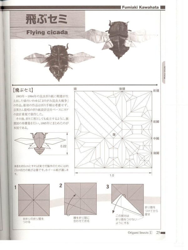 Paper art hand-making tutorial, Kawahata Fumaki Insect origami cicada Flying cicada Hand-made origami drawing tutorial