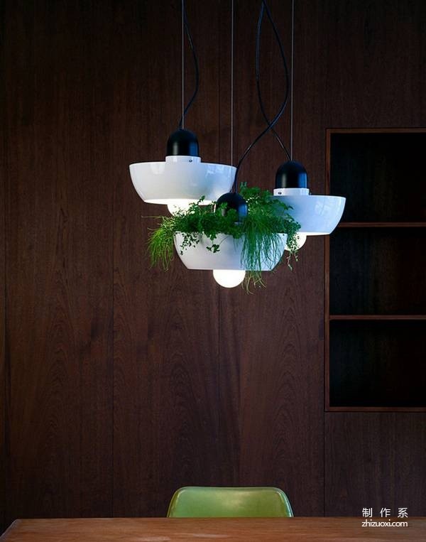 Well Light - Green Plant Hanging Light Design