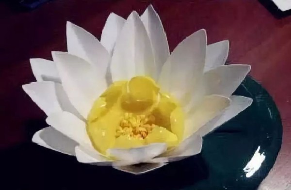 Tutorial on making beautiful lotus flowers from plastic bottles