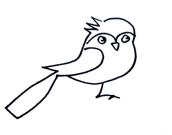 Learn to draw simple strokes, a simple way to draw a blue-tailed bird