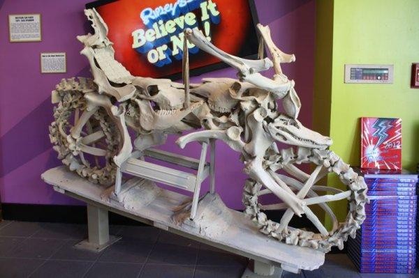 Motorcycle made from animal bones