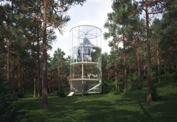 forest glass house