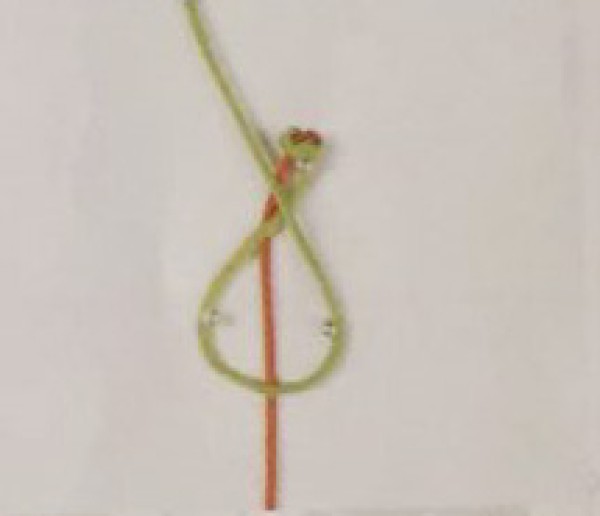 Illustrated teaching of Chinese knots for pipa knots