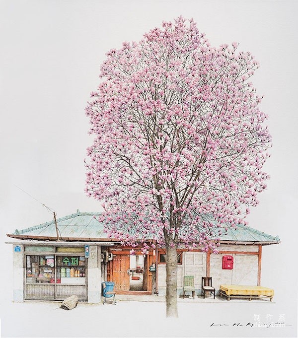 It turns out that grocery stores can be so beautiful and fresh. Illustrations of street shops from Korea.