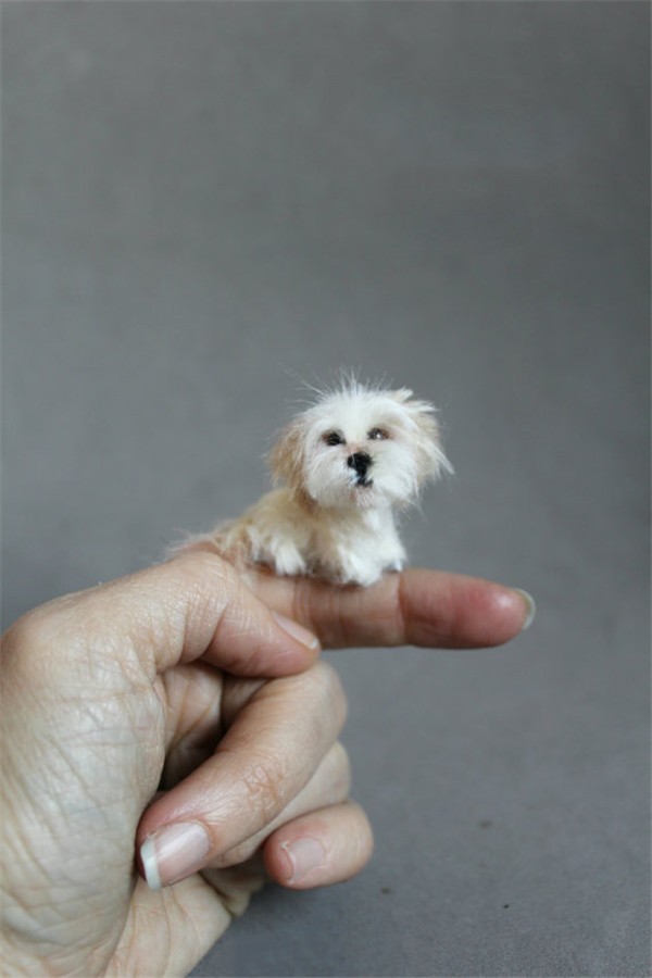 Appreciation of handmade wool felt DIY simulation of cute puppy works