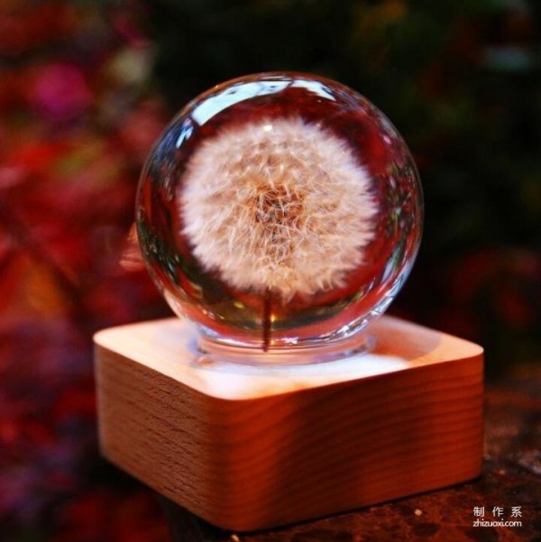 Cute Dandelion Ambient Light