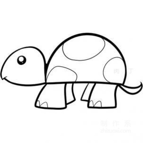 Learn to draw simple strokes, little turtle