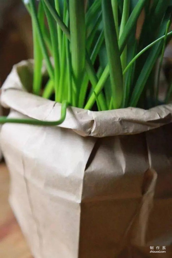 Teach you to use kraft paper to make a high-end looking flower pot