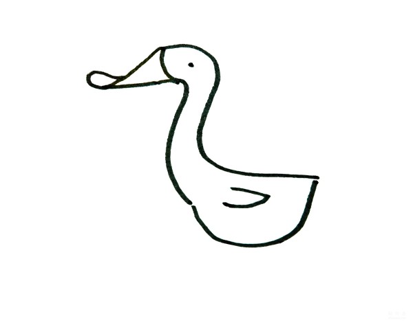 Learn to draw a simple drawing, a little duck with a flat mouth