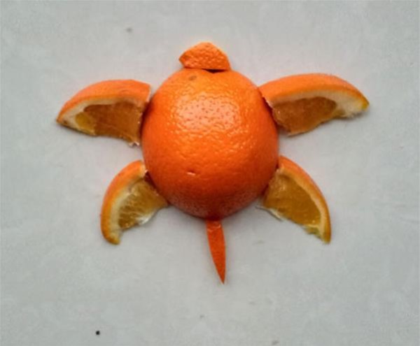 How to make orange peel collage with little turtles