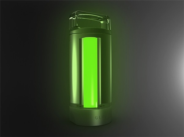 Efficient and environmentally friendly phosphorescent lamp