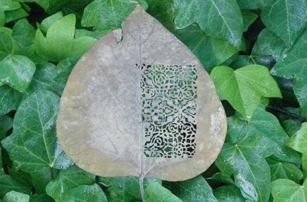 art on leaves