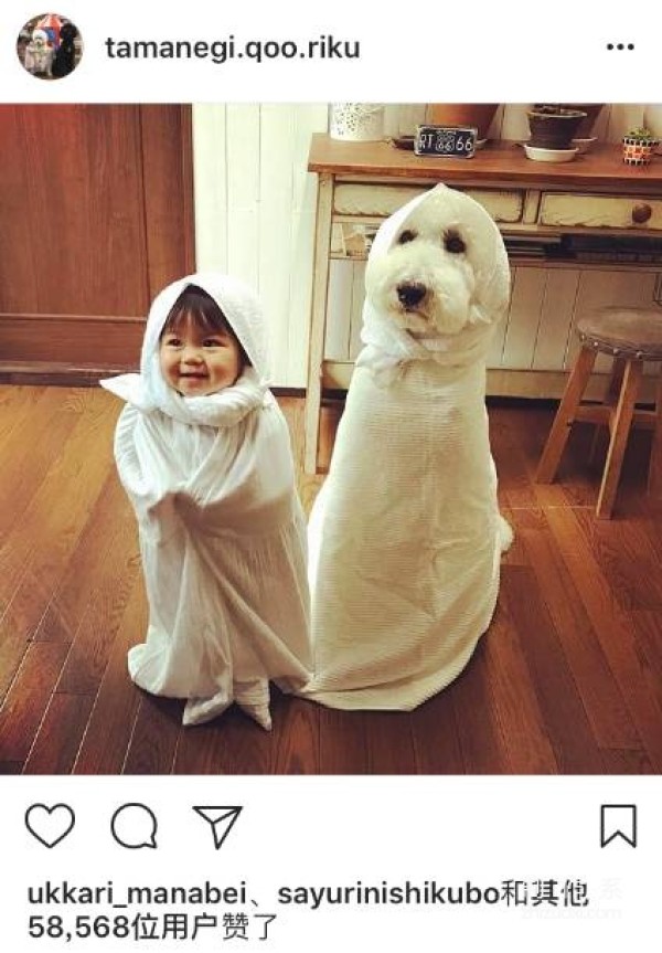 So cute! A 1-year-old girl and three dogs sleep together, eat together, and wear the same clothes...