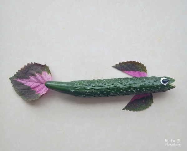 How to make handmade collage pictures of cucumber fish