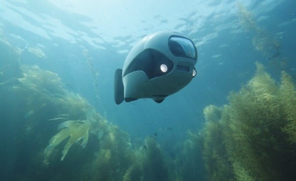 BIKIs robotic fish for underwater photography looks super cute