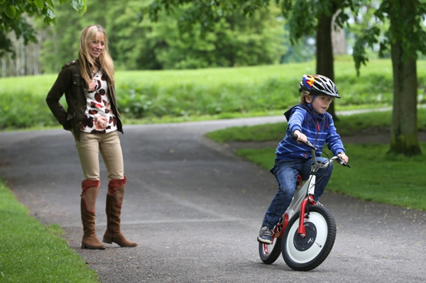 A bicycle that is safe enough and will not fall over no matter how much you push it