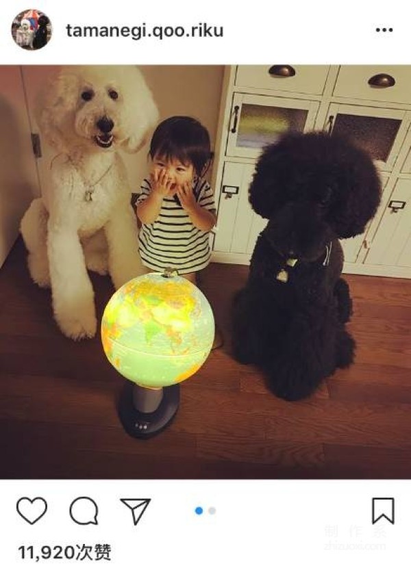 Cute! A 1-year-old girl and three dogs sleep together, eat together, and wear the same clothes... 