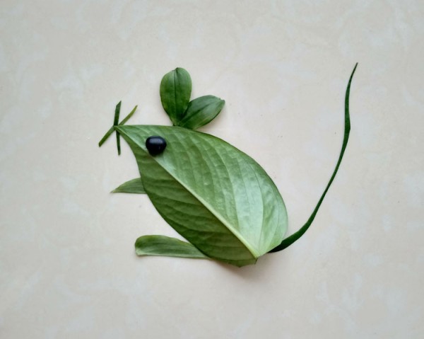 DIY mouse diagram using leaves and beans