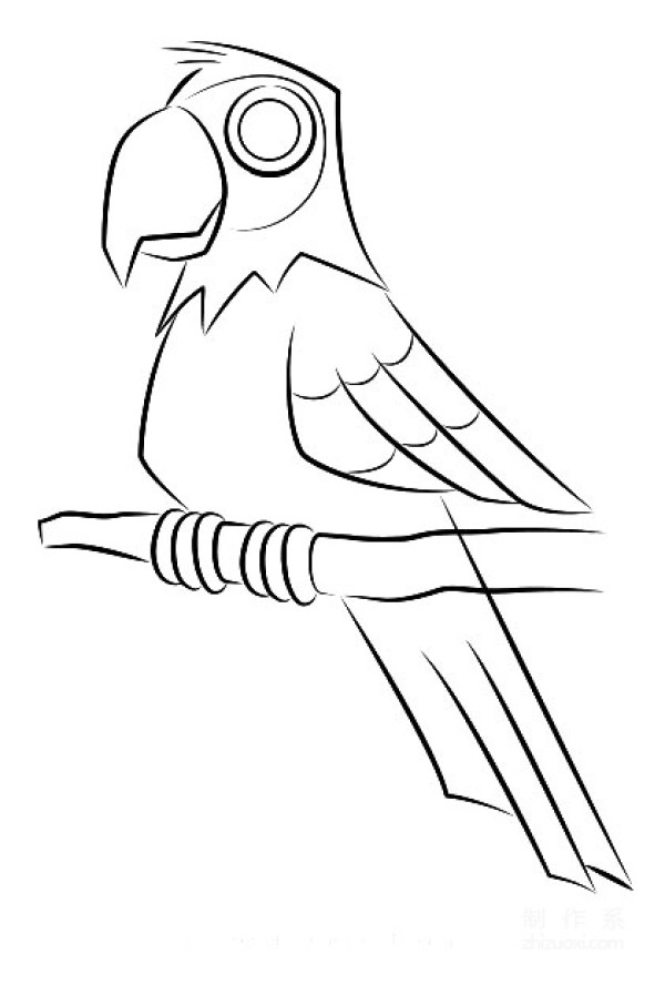 A collection of simple drawing pictures for kindergarten children, teach you step by step how to draw a colorful parrot