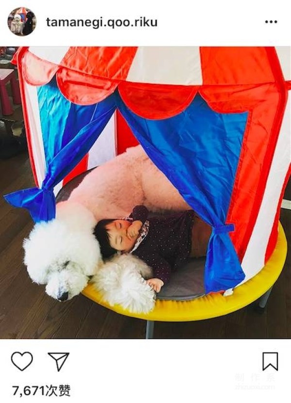 So cute! A 1-year-old girl and three dogs sleep together, eat together, and wear the same clothes...