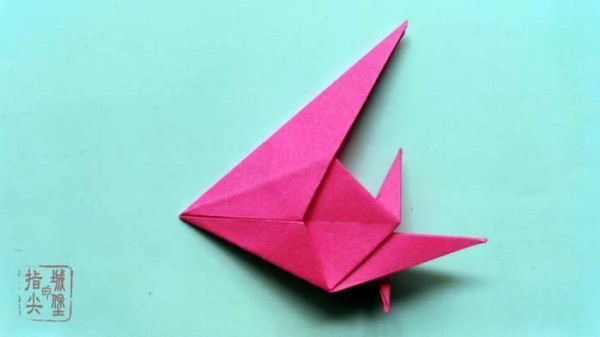 Colorful simple origami fish handmade origami illustration tutorial