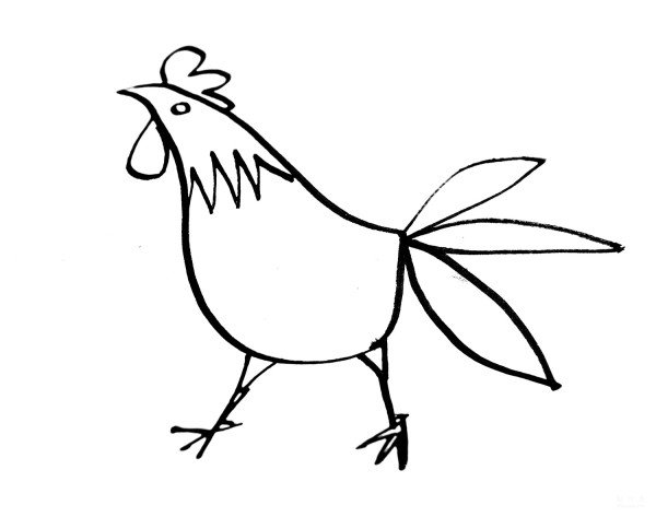 Learn to draw simple drawings, long-tailed chicken