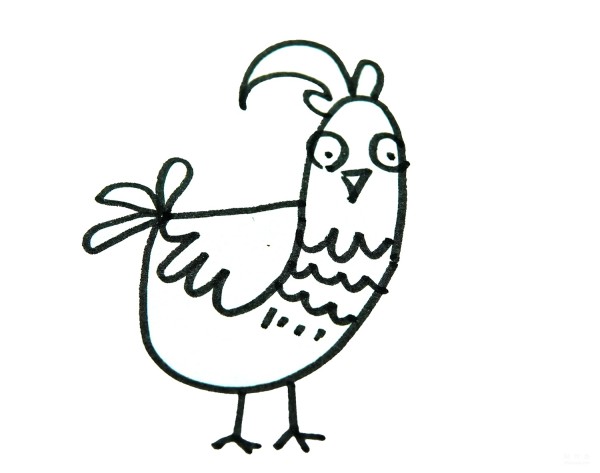 Learn to draw a simple drawing of a proud big rooster