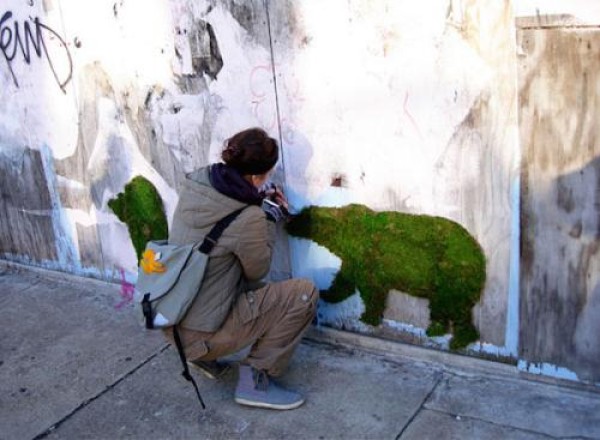 Tutorial on DIY Moss Graffiti