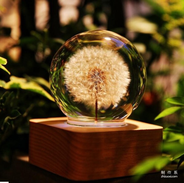 Cute Dandelion Ambient Lamp